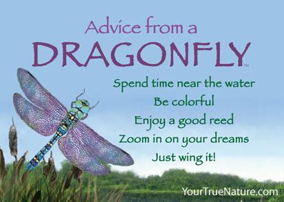 Advice from a Dragonfly Jumbo Magnet