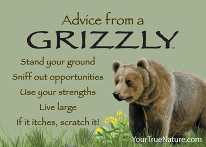 Advice from a Grizzly Jumbo Magnet