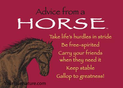 Advice from a Horse Jumbo Magnet