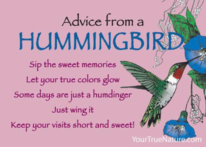Advice from a Hummingbird Jumbo Magnet