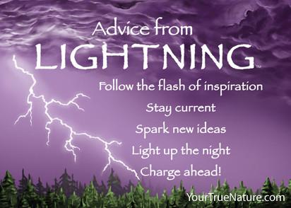 Advice from Lightning Jumbo Magnet