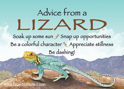 Advice from a Lizard Jumbo Magnet
