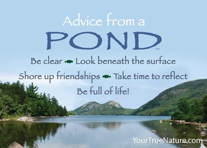 Advice from a Pond Jumbo Magnet