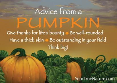 Advice from a Pumpkin Jumbo Magnet