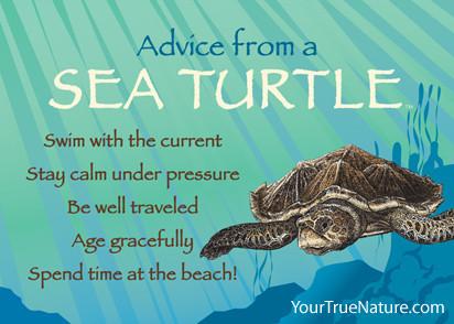 Advice from a Sea Turtle Jumbo Magnet