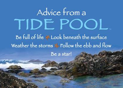 Advice from a Tide Pool Jumbo Magnet