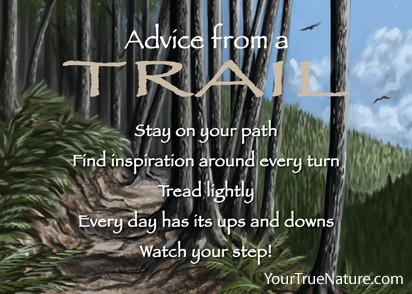 Advice from a Trail Jumbo Magnet
