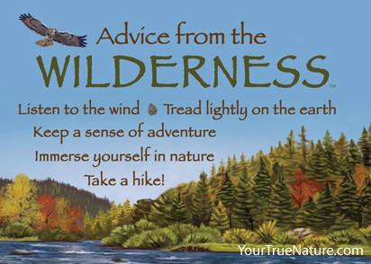 Advice from the Wilderness Jumbo Magnet