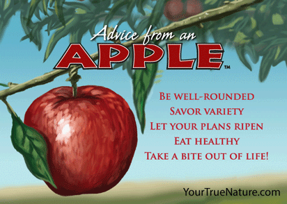 Advice from an Apple Jumbo Magnet