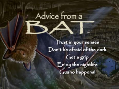 Advice from a Bat Jumbo Magnet