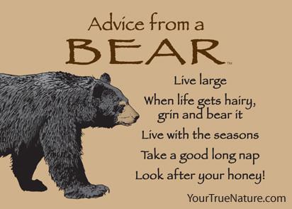 Advice from a Bear Jumbo Magnet