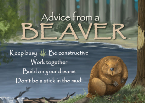 Advice from a Beaver Jumbo Magnet