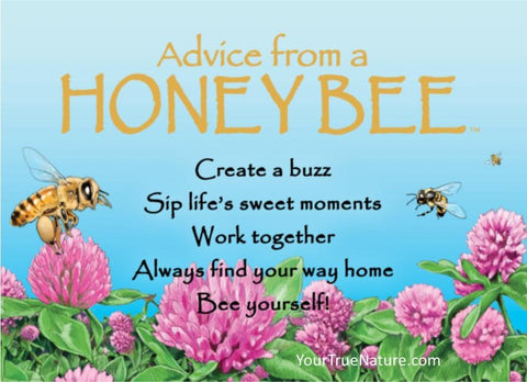 Advice from a Honey Bee Jumbo Magnet