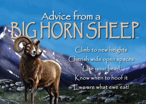 Advice from a Bighorn Sheep Jumbo Magnet