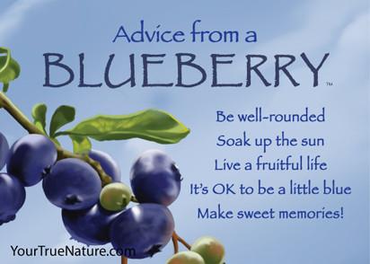 Advice from a Blueberry Jumbo Magnet