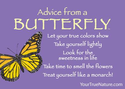 Advice from a Butterfly Jumbo Magnet