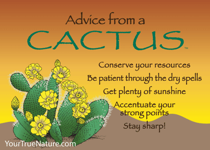 Advice from a Cactus Jumbo Magnet