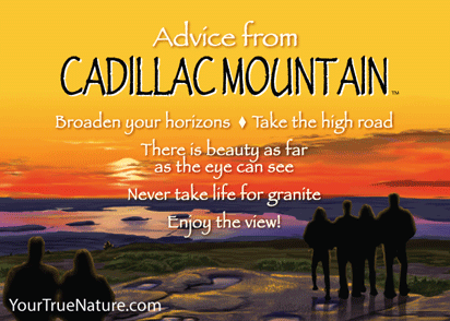 Advice from Cadillac Mountain Jumbo Magnet