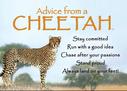 Advice from a Cheetah Jumbo Magnet