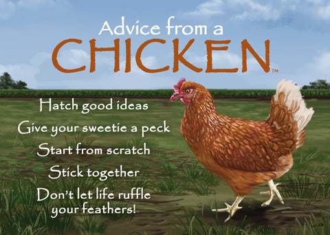 Advice from a Chicken Jumbo Magnet