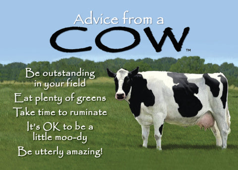 Advice from a Cow Jumbo Magnet