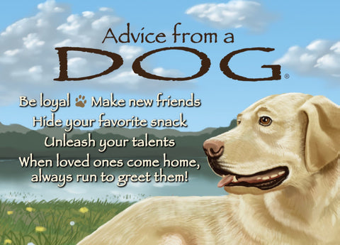 Advice from a Dog Jumbo Magnet