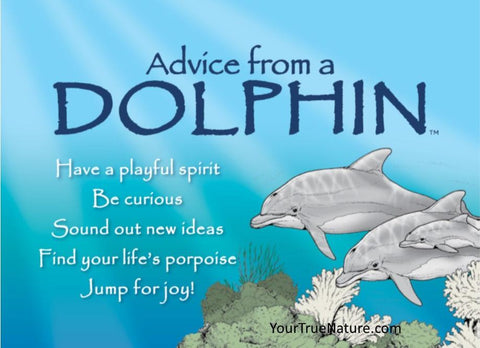 Advice from a Dolphin Jumbo Magnet