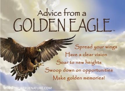 Advice from a Golden Eagle Jumbo Magnet