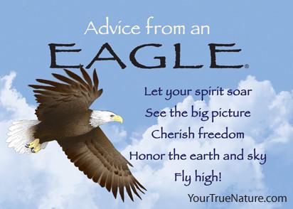 Advice from an Eagle Jumbo Magnet