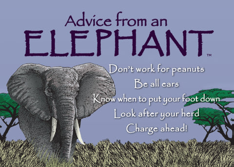 Advice from an Elephant Jumbo Magnet