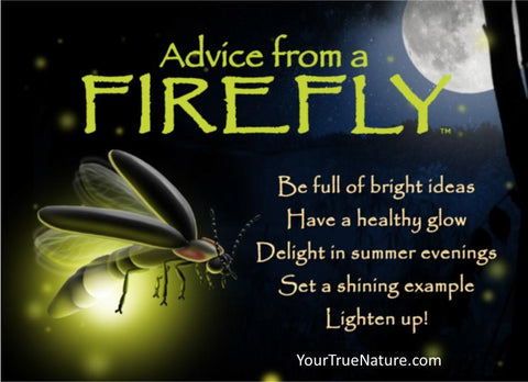 Advice from a Firefly Jumbo Magnet