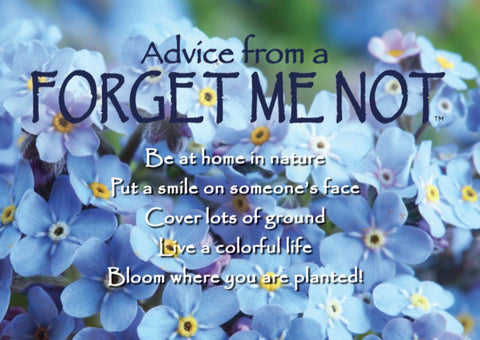 Advice from a Forget Me Not Jumbo Magnet