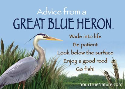 Advice from a Great Blue Heron Jumbo Magnet