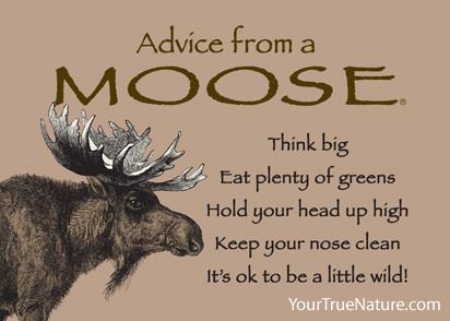 Advice from a Moose Jumbo Magnet