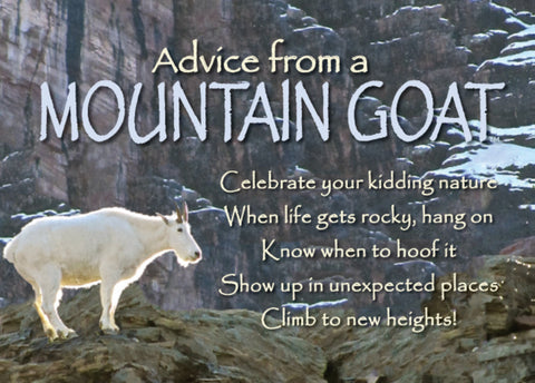 Advice from a Mountain Goat Jumbo Magnet