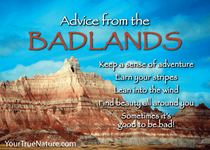 Advice from the Badlands Jumbo Magnet