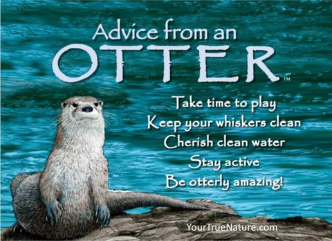 Advice from an Otter Jumbo Magnet