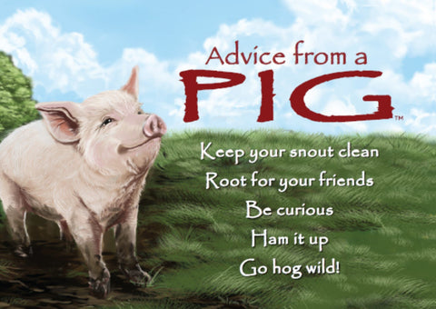 Advice from a Pig Jumbo Magnet