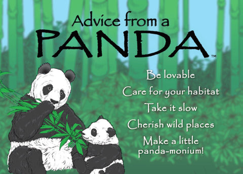 Advice from a Panda Jumbo Magnet