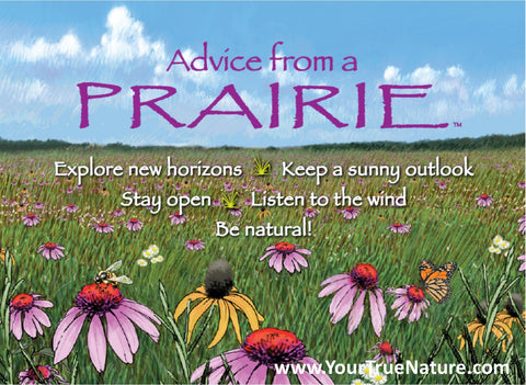 Advice from a Prairie Jumbo Magnet