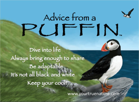 Advice from a Puffin Jumbo Magnet