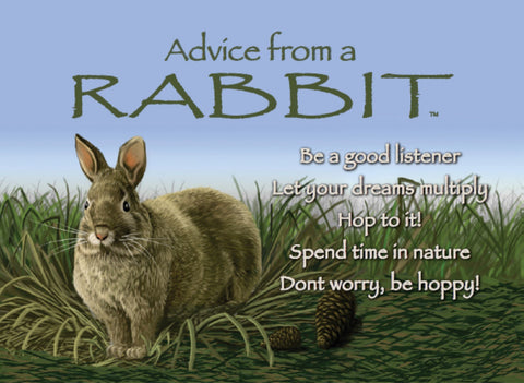 Advice from a Rabbit Jumbo Magnet
