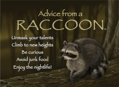 Advice from a Raccoon Jumbo Magnet