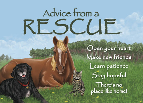 Advice from a Rescue Jumbo Magnet