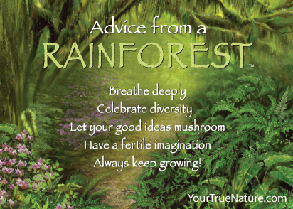 Advice from a Rainforest Jumbo Magnet