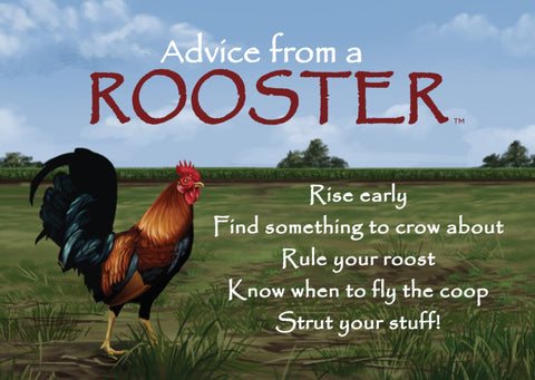 Advice from a Rooster Jumbo Magnet