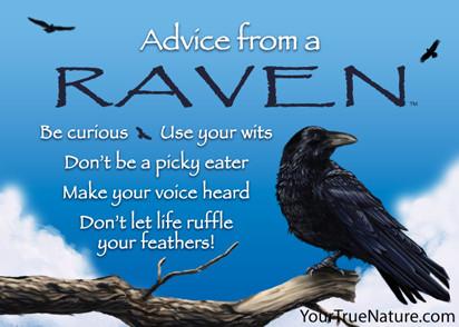 Advice from a Raven Jumbo Magnet
