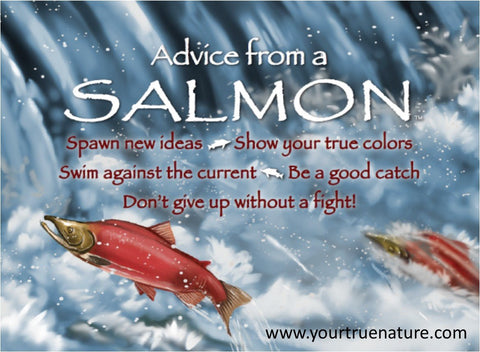 Advice from a Salmon Jumbo Magnet