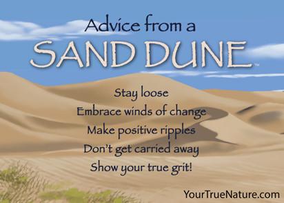 Advice from a Sand Dune Jumbo Magnet