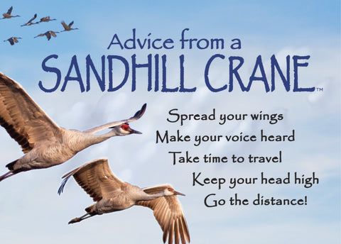 Advice from a Sandhill Crane Jumbo Magnet
